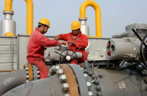 petroluim Niger